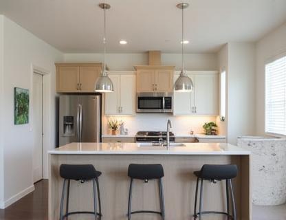 Contemporary Condo Kitchen Upgrade